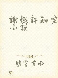 谢燃许知完结版小说