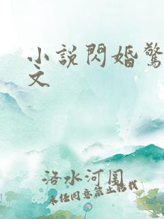 小说闪婚惊爱全文
