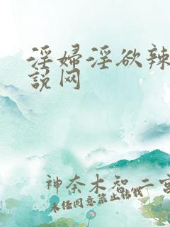 淫妇淫欲辣文小说网