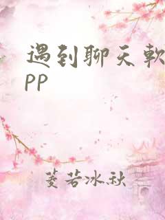 遇到聊天软件app