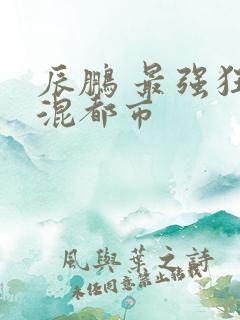 辰鹏 最强狂兵混都市