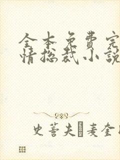 全本免费完结言情总裁小说