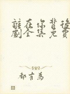 谁在你背后电视剧全集免费观看