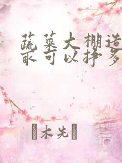 蔬菜大棚造价每亩可以挣多少