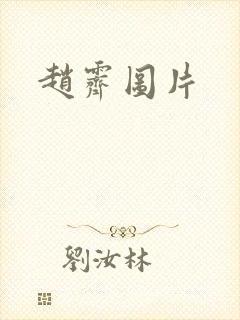赵霁图片
