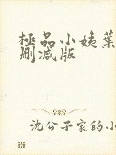 极品小姨叶凡未删减版