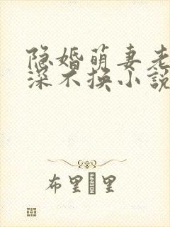 隐婚萌妻老公情深不换小说免费阅读
