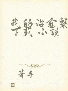 我的治愈系游戏下载 小说