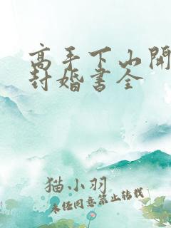 高手下山开局九封婚书全