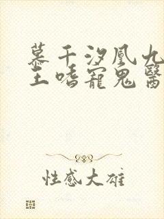 慕千汐凰九夜邪王嗜宠鬼医狂妃无弹窗
