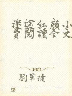 迷途红颜小说免费阅读全文