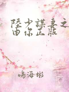 陆少谋妻之婚不由你正版