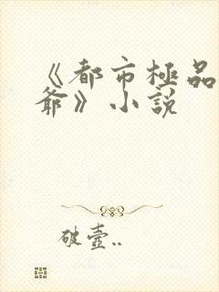 《都市极品太子爷》小说