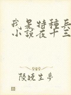 我是特种兵杨洛小说夜十三