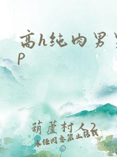 高h纯肉男男np