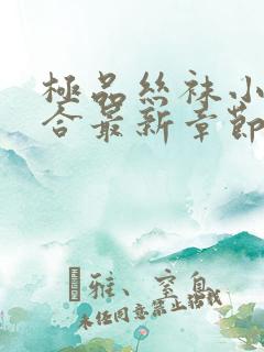 极品丝袜小说集合最新章节