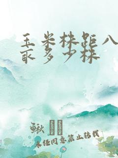 玉米株距八寸一亩多少株