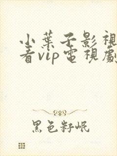 小叶子影视在线看vip电视剧