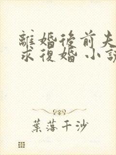 离婚后前夫哭着求复婚 小说完整