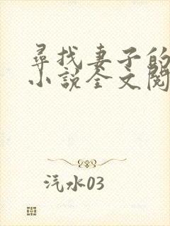 寻找妻子的秘密小说全文阅读