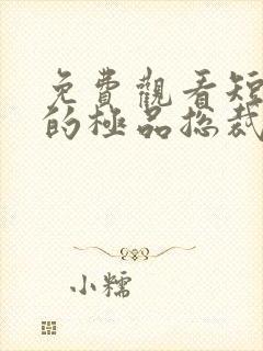免费观看短剧我的极品总裁老婆