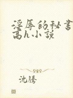 淫辱的秘书调教高h小说