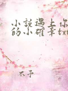 小说遇上你是我的小确幸txt下载