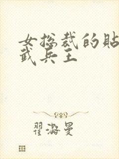 女总裁的贴身医武兵王