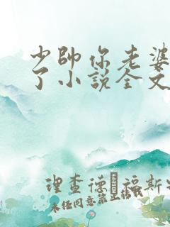 少帅你老婆又跑了小说全文免费阅读