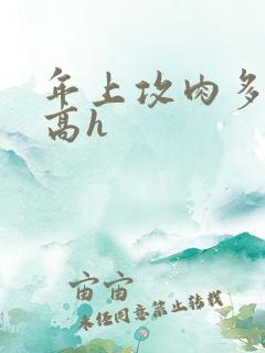 年上攻肉多荤文高h