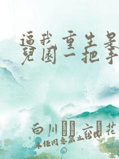 逼我重生是吧幼儿园一把手正版全文下载