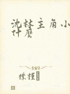 沈林主角小说叫什么