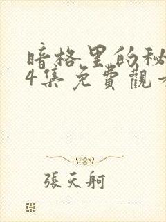 暗格里的秘密24集免费观看