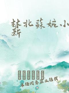 林北苏婉小说最新