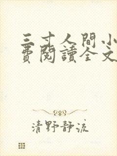三寸人间小说免费阅读全文笔趣阁