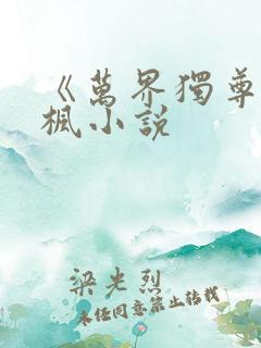 《万界独尊》林枫小说