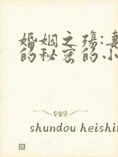 婚姻之殇:妻子的秘密的小说
