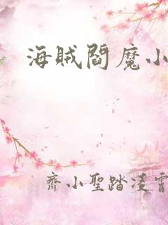 海贼阎魔小说