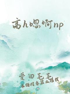 高h嗯啊np
