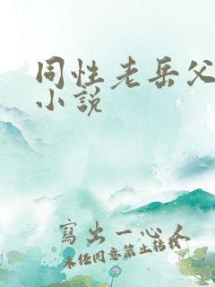 同性老岳父搞基小说