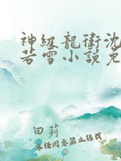 神级龙卫沈浪苏若雪小说免费阅读