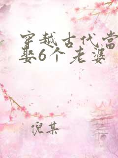 穿越古代当秀才娶6个老婆