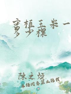 密植玉米一亩地多少棵