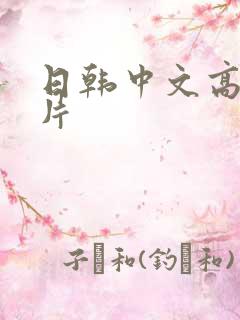 日韩中文高清毛片