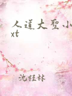 人道大圣小说txt