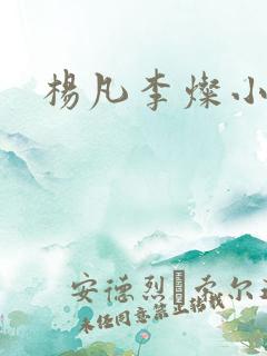 杨凡李灿小说