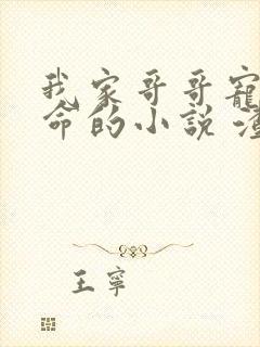 我家哥哥宠妹如命的小说 渣渣兔