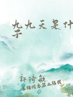 九九天是什么日子