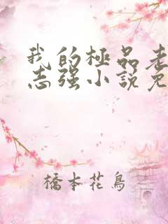 我的极品老婆方志强小说免费阅读