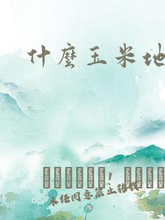 什么玉米地